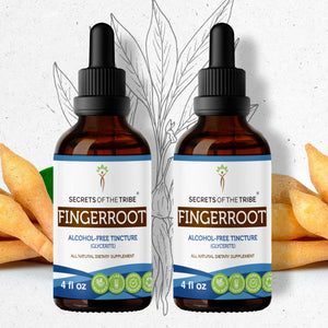 Secrets Of The Tribe Fingerroot Tincture buy online 