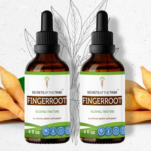 Secrets Of The Tribe Fingerroot Tincture buy online 