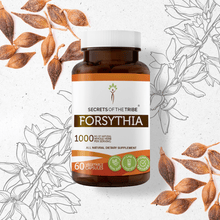 Load image into Gallery viewer, Secrets Of The Tribe Forsythia Capsules buy online 