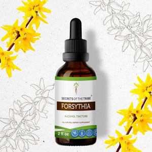Secrets Of The Tribe Forsythia Tincture buy online 