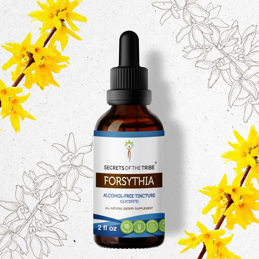 Secrets Of The Tribe Forsythia Tincture buy online 