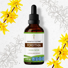 Load image into Gallery viewer, Secrets Of The Tribe Forsythia Tincture buy online 