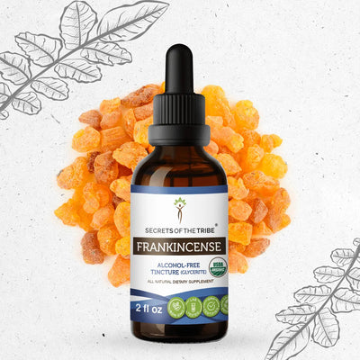 Secrets Of The Tribe Frankincense Tincture buy online