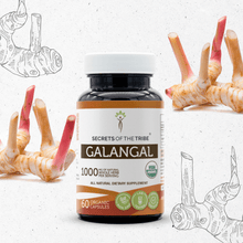 Load image into Gallery viewer, Secrets Of The Tribe Galangal Capsules buy online 