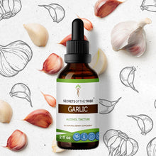 Load image into Gallery viewer, Secrets Of The Tribe Garlic Tincture buy online 
