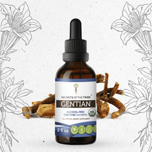 Load image into Gallery viewer, Secrets Of The Tribe Gentian Tincture buy online 