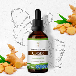 Secrets Of The Tribe Ginger Tincture buy online 