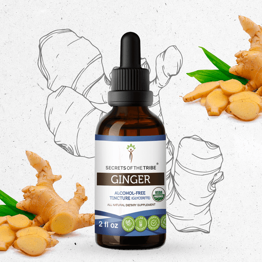 Secrets Of The Tribe Ginger Tincture buy online 