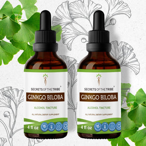 Secrets Of The Tribe Ginkgo Biloba Tincture buy online 