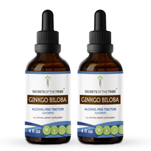 Load image into Gallery viewer, Secrets Of The Tribe Ginkgo Biloba Tincture buy online 