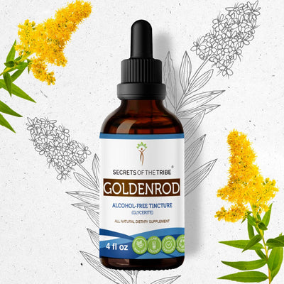 Buy Goldenrod Tincture online - Secrets Of The Tribe