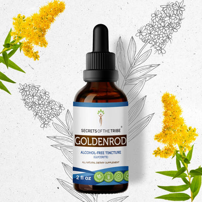 Buy Goldenrod Tincture online - Secrets Of The Tribe