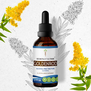 Secrets Of The Tribe Goldenrod Tincture buy online 