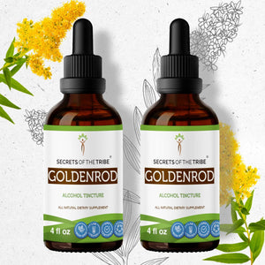 Secrets Of The Tribe Goldenrod Tincture buy online 