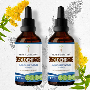 Secrets Of The Tribe Goldenrod Tincture buy online 