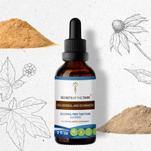 Load image into Gallery viewer, Secrets Of The Tribe Goldenseal and Echinacea Tincture buy online 