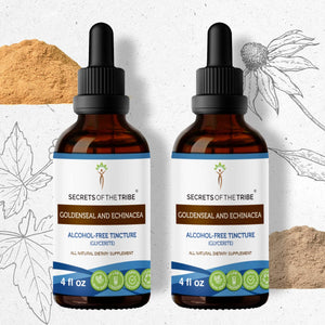 Secrets Of The Tribe Goldenseal and Echinacea Tincture buy online 