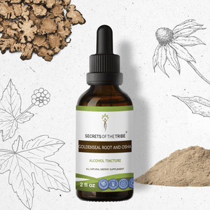 Secrets Of The Tribe Goldenseal Root and Osha Tincture buy online 