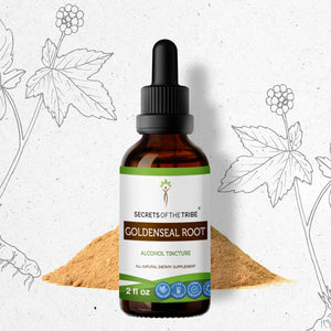 Secrets Of The Tribe Goldenseal Root Tincture buy online 