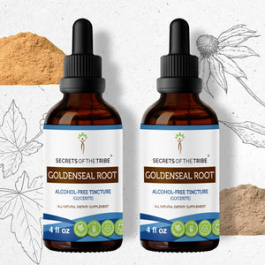 Secrets Of The Tribe Goldenseal Root Tincture buy online 