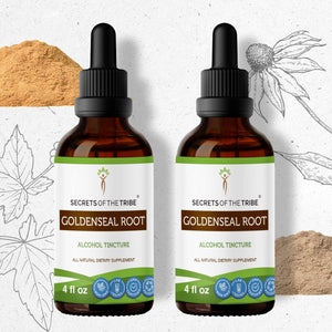 Secrets Of The Tribe Goldenseal Root Tincture buy online 