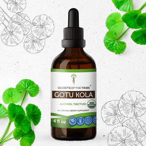 Secrets Of The Tribe Gotu Kola Tincture buy online 