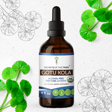 Load image into Gallery viewer, Secrets Of The Tribe Gotu Kola Tincture buy online 