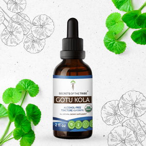 Secrets Of The Tribe Gotu Kola Tincture buy online 