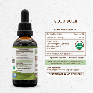 Secrets Of The Tribe Gotu Kola Tincture buy online 