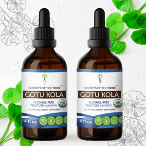 Secrets Of The Tribe Gotu Kola Tincture buy online 