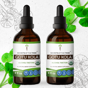 Secrets Of The Tribe Gotu Kola Tincture buy online 