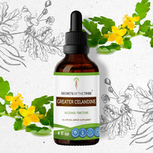 Load image into Gallery viewer, Secrets Of The Tribe Greater Celandine Tincture buy online 