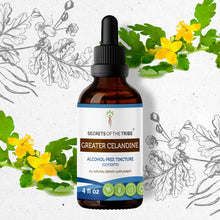 Load image into Gallery viewer, Secrets Of The Tribe Greater Celandine Tincture buy online 