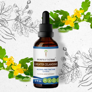 Secrets Of The Tribe Greater Celandine Tincture buy online 