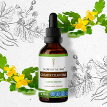 Load image into Gallery viewer, Secrets Of The Tribe Greater Celandine Tincture buy online 