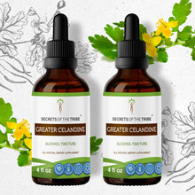 Load image into Gallery viewer, Secrets Of The Tribe Greater Celandine Tincture buy online 