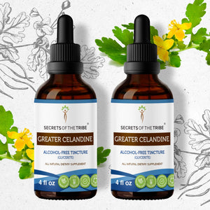 Secrets Of The Tribe Greater Celandine Tincture buy online 