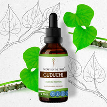 Load image into Gallery viewer, Secrets Of The Tribe Guduchi Tincture buy online 