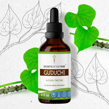Load image into Gallery viewer, Secrets Of The Tribe Guduchi Tincture buy online 