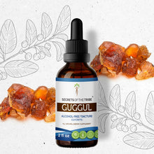 Load image into Gallery viewer, Secrets Of The Tribe Guggul Tincture buy online 