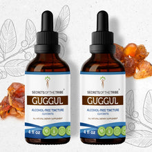 Load image into Gallery viewer, Secrets Of The Tribe Guggul Tincture buy online 