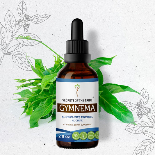 Secrets Of The Tribe Gymnema Tincture buy online 