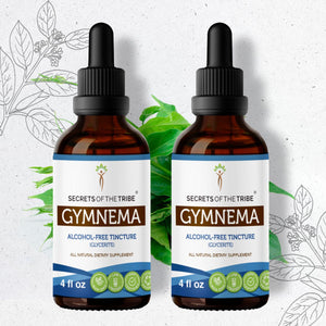 Secrets Of The Tribe Gymnema Tincture buy online 