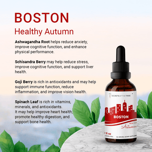 Secrets Of The Tribe Herbal Health Set Boston buy online 