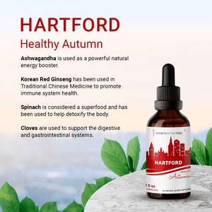 Secrets Of The Tribe Herbal Health Set Hartford buy online 