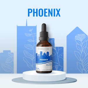 Secrets Of The Tribe Herbal Health Set Phoenix buy online 