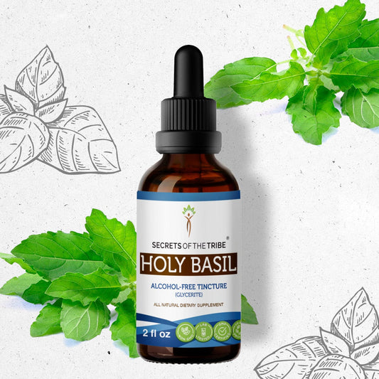 Secrets Of The Tribe Holy Basil Tincture buy online 