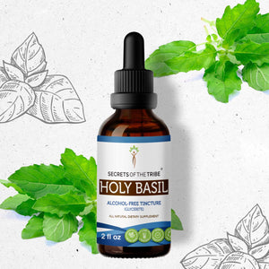 Secrets Of The Tribe Holy Basil Tincture buy online 