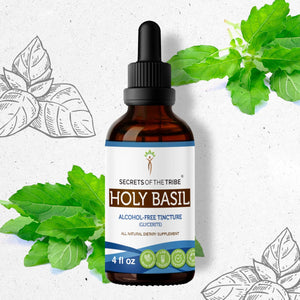 Secrets Of The Tribe Holy Basil Tincture buy online 