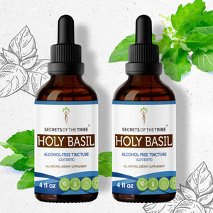 Secrets Of The Tribe Holy Basil Tincture buy online 